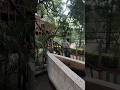 indorezoo visit with Di and Ji... #indorezoo #visit #exitment