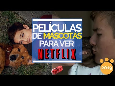 Películas de mascotas / animales en Netflix | 2019