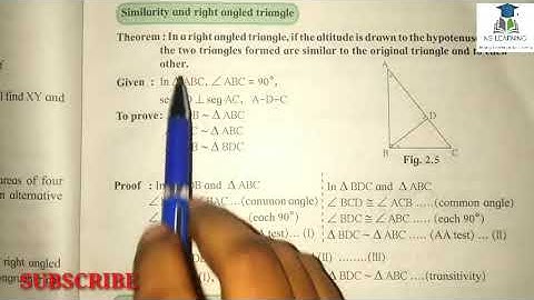 theorem : similarity of right angled triangle || 10th class geometry chapter 2 theorem ||