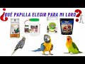 🐦🦜👉Papillas para loros , Cotorras ,Ninfas, Agapornis , ¿ QUE PAPILLA DEVO DE DAR A MI LORO ?