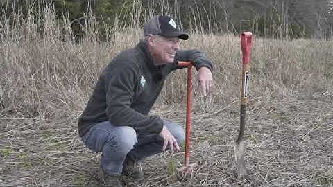 Tree Planting Tutorial