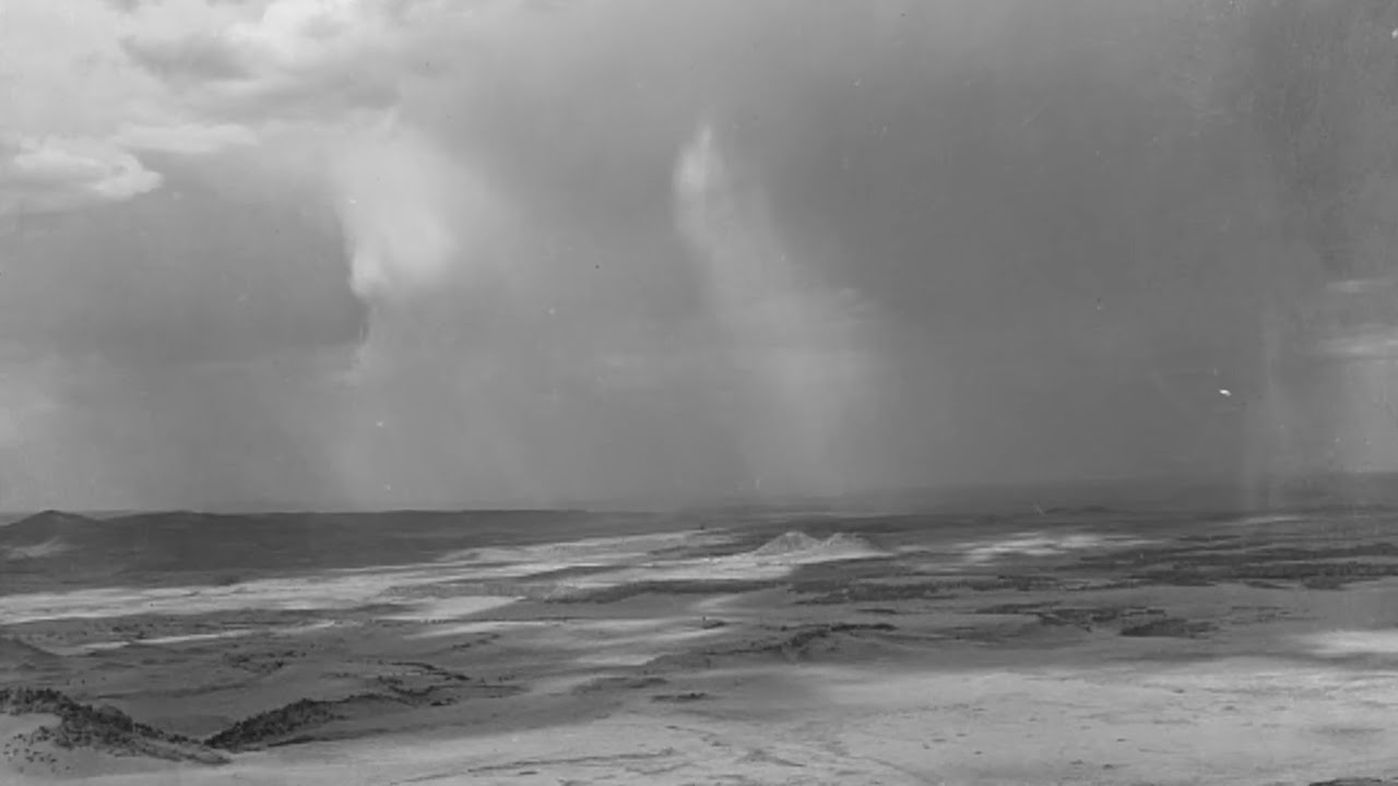 Michael Dinallo - Walking with Crows (Official Audio)