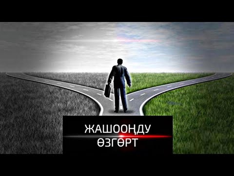 Video: Пайдалуу шылтоо