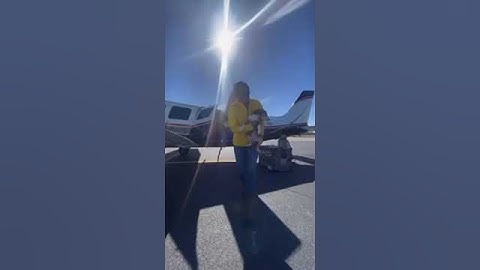10 puppy dogs saved by an amazing pilot!