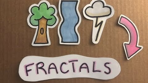 An Introduction to Fractals in Nature || Science Ambassador Scholarship