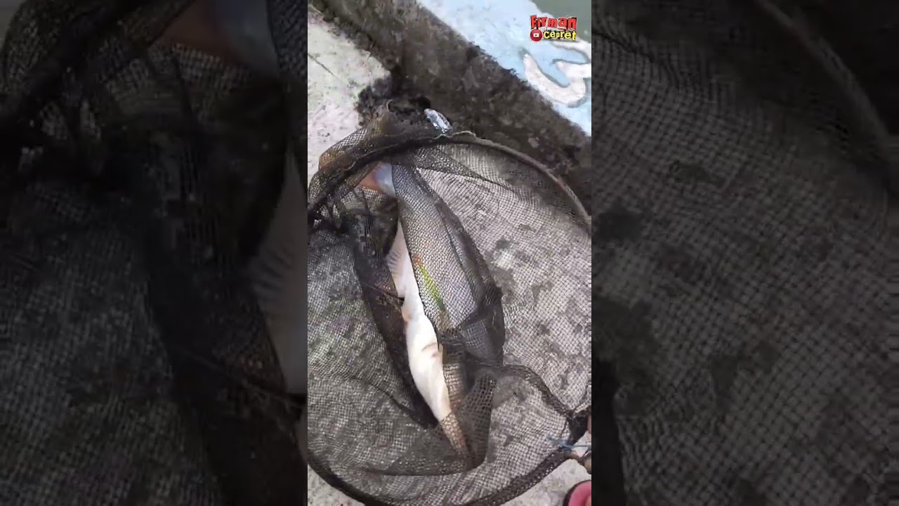 Ngabuburit Patin Haup‼️KP WAPO sumampir