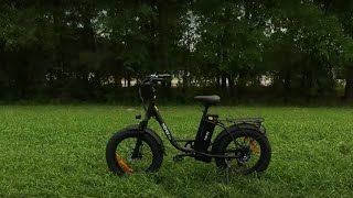 Hiboy EX6 | Powerful Companion for Jungle Adventures.