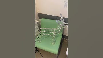 Short Video | Rudolf the magic reindeer