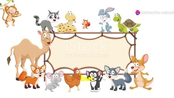 How Do Animals Talk? The Secret Language of Animals | 3D Animated Cartoon | The Animation Station
