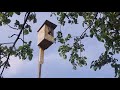Теплица. Своими руками.