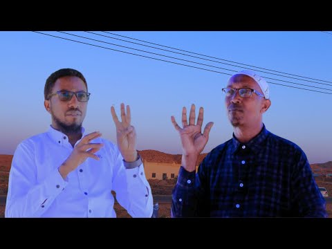 2    2     4        1