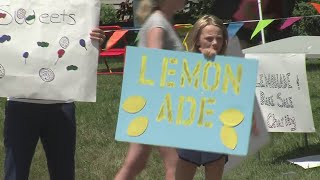 Lemonade Stand Raises $1000 for Charity