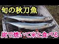 【最高すぎ】秋刀魚！サバ！ブリ！好きな魚を炭火焼きで食らうデブ。【飯テロ】