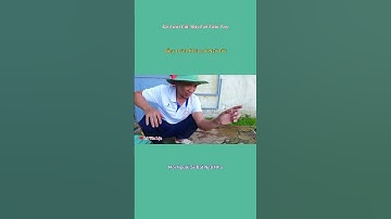 Gỡ lưỡi cắt máy cắt cầm tay thật đơn giản #thanhmeovn #levanloc