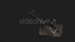 Bat Fish (Manta) Walk Slow Pack 3In1 | Motion Graphics - Envato elements