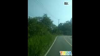 tehinakan cover mirmansya pandia