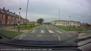 Clever Cat Uses Crosswalk || ViralHog