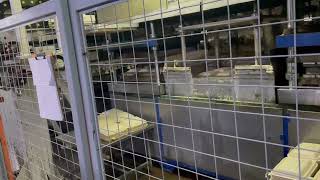 MVI ECOPACK Bagasse Compostable Tableware Production Line