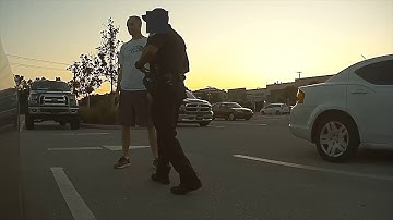 Tesla Sentry Mode Event: Parking Lot Hit and Run