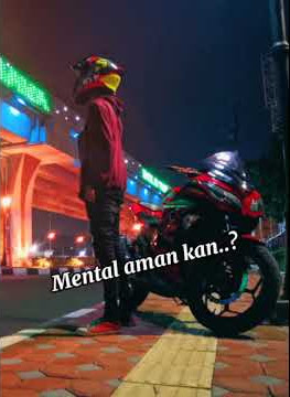 STORY WA NINJA 250 FI (mental )