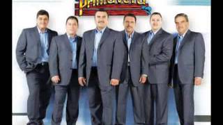 EL DICCIONARIO ''CONJUNTO PRIMAVERA''