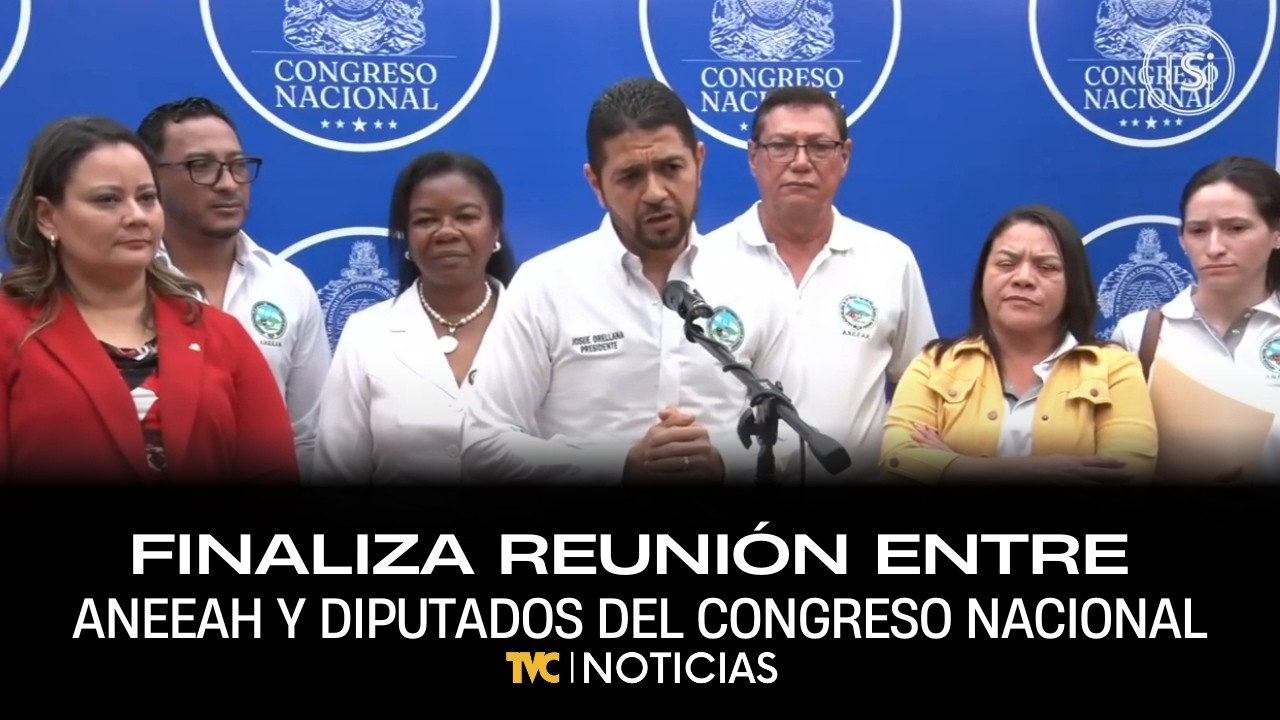 Finaliza reunión entre ANEEAH y diputados del Congreso Nacional
