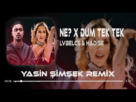 LvbelC5 & Hadise - NE? x DUM TEK TEK ( Yasin Şimşek Remix )