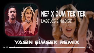 LvbelC5 & Hadise - NE? x DUM TEK TEK ( Yasin Şimşek Remix )