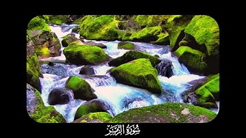 سورة الزمر | صوت الشيخ ياسر الدوسري