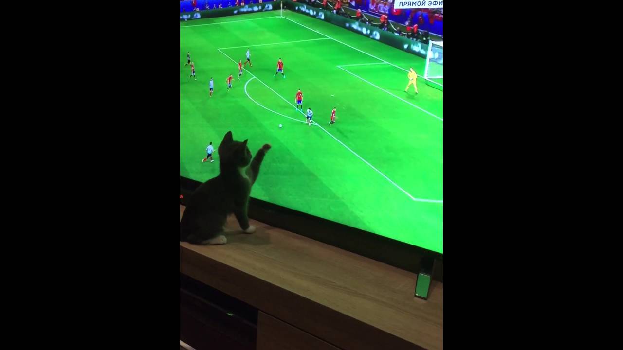 Euro 2016 Spain VS Turkey