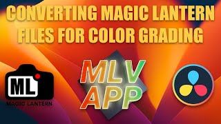 Using MLV App to Convert Magic Lantern Raw Files screenshot 4