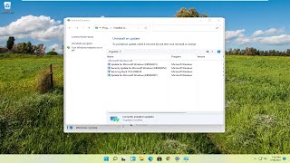 How to Disable the Magnifier in Windows 11/10