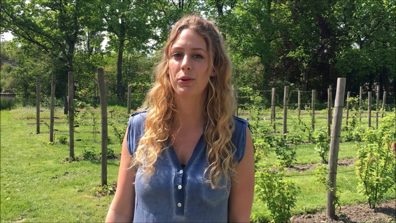 Vlog #14 Landgoed Bredius