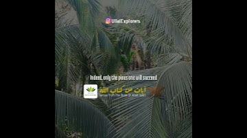 Surah an Naba | Versus from Quran | سورة النبأ | آيات من كتاب الله