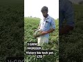 Chilli special