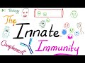 The innate immunity and the complement system 