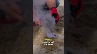 Did you know this about smoke bombs?