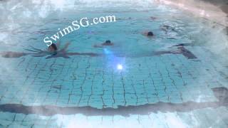 SwimSG.com - Professional Swimming lessons Singapore Adults Ladies
