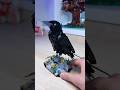 😱КАКОЙ НАБОР LEGO ДОСТАНЕТСЯ ТЕБЕ!? #lego #shorts #лего #челлендж