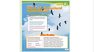 Behavioral Adaptations
