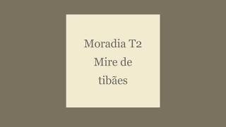 Moradia T2 localizada em Mire de Tibães, Braga.
