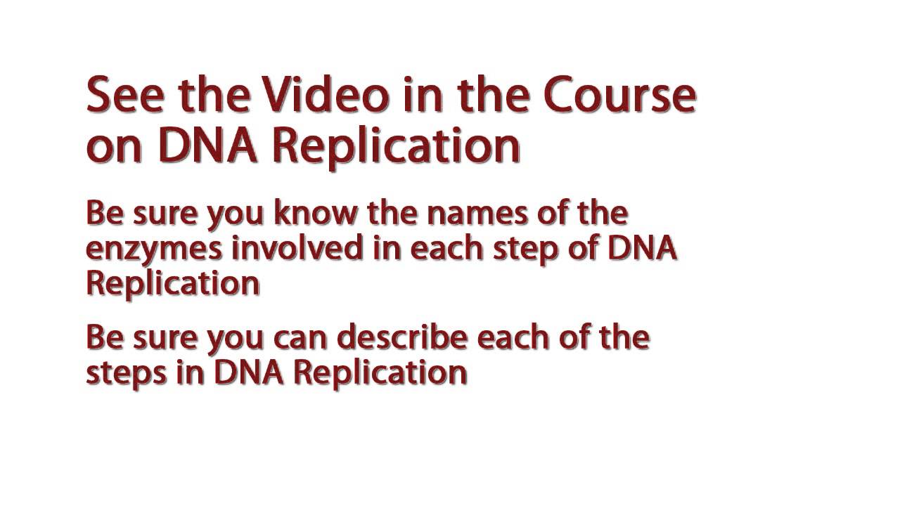 WCLN DNA YouTube