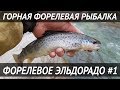 Шок! Форелевое эльдорадо в горах! Стримовая форелевая рыбалка