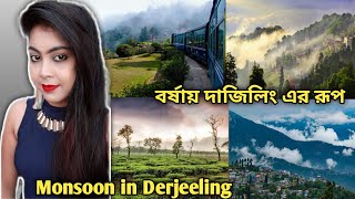 Monsoon in Derjeeling Tour।। বর্ষায় দার্জিলিং এর রূপ।। Day-3।। Part -7।।@monsooninderjeelingtour