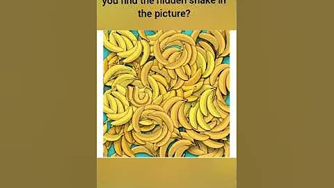 optical illusion IQ test