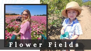 Exploring the Carlsbad Flower Fields - Family Fun Vlog 🌼 🌸