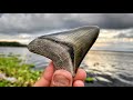 Megalodon Shark Tooth Hunting in Florida | Fossil Hunting on Dirt Roads for Huge Shark Teeth