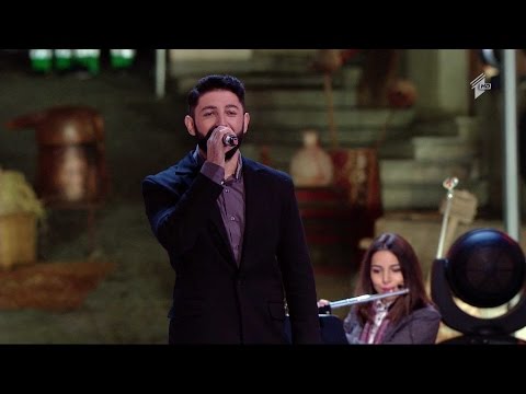 თბილისობა 2015 გიორგი სუხიტაშვილი ჩიტი გვრიტი მოფრინავდა