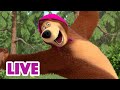 🔴 LIVE 🐻👧 Masha y el Oso 2023 🐻🌟🕵️‍♀️ ¿Qué le pasó al oso? 🎬 Masha and the Bear