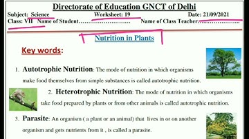 Class 7 Science Worksheet 19 English Medium 21/9/2021@SmartlearningScience